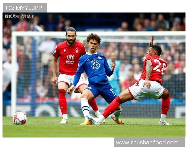 西班牙足球明星的辉煌历程与对世界足球的深远影响